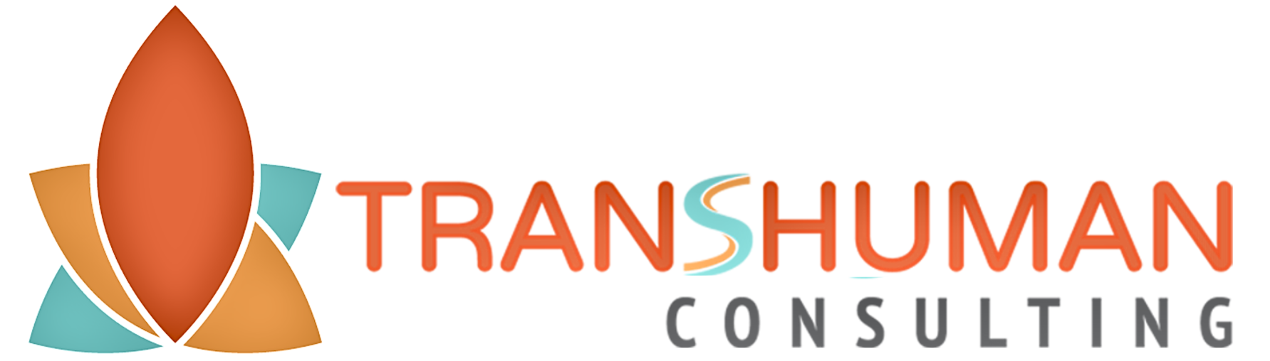 Transhuman Consulting